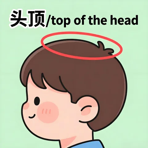 头顶 touding