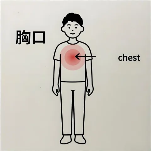 胸口 xiongkou