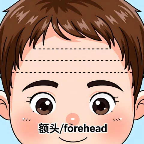 额头 etou