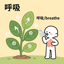 呼吸 huxi